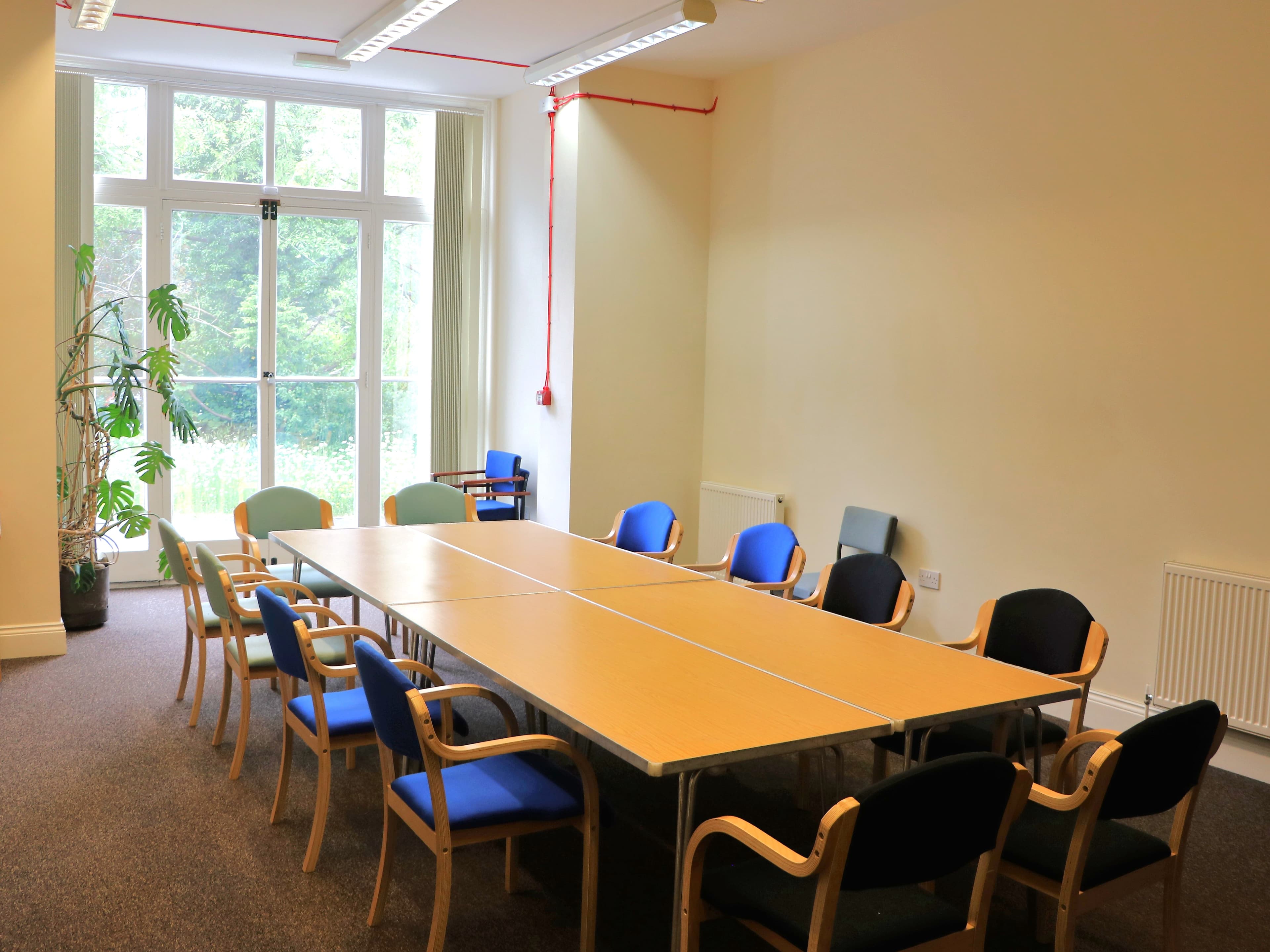 Cicely Room: views of nature